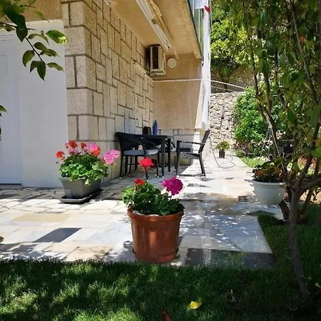 Dragi (adults Only) Split